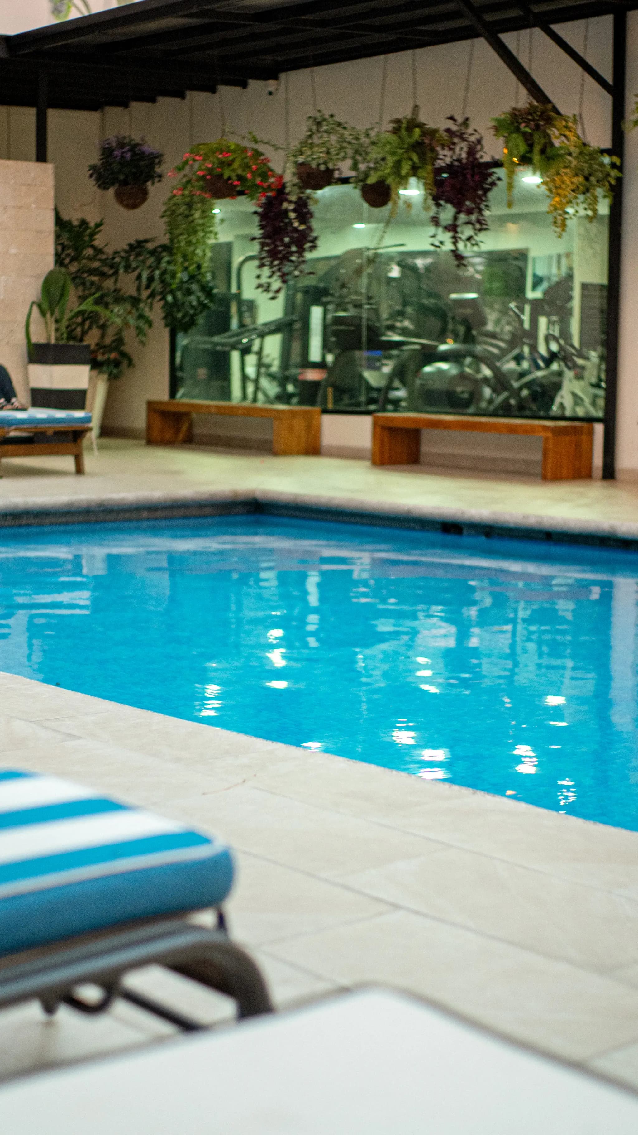 Heated swimming pool at KC Hotel San Jose surrounded by tropical gardens